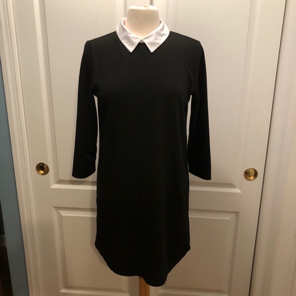 Zara Dresses & Skirts - Zara white collar dress